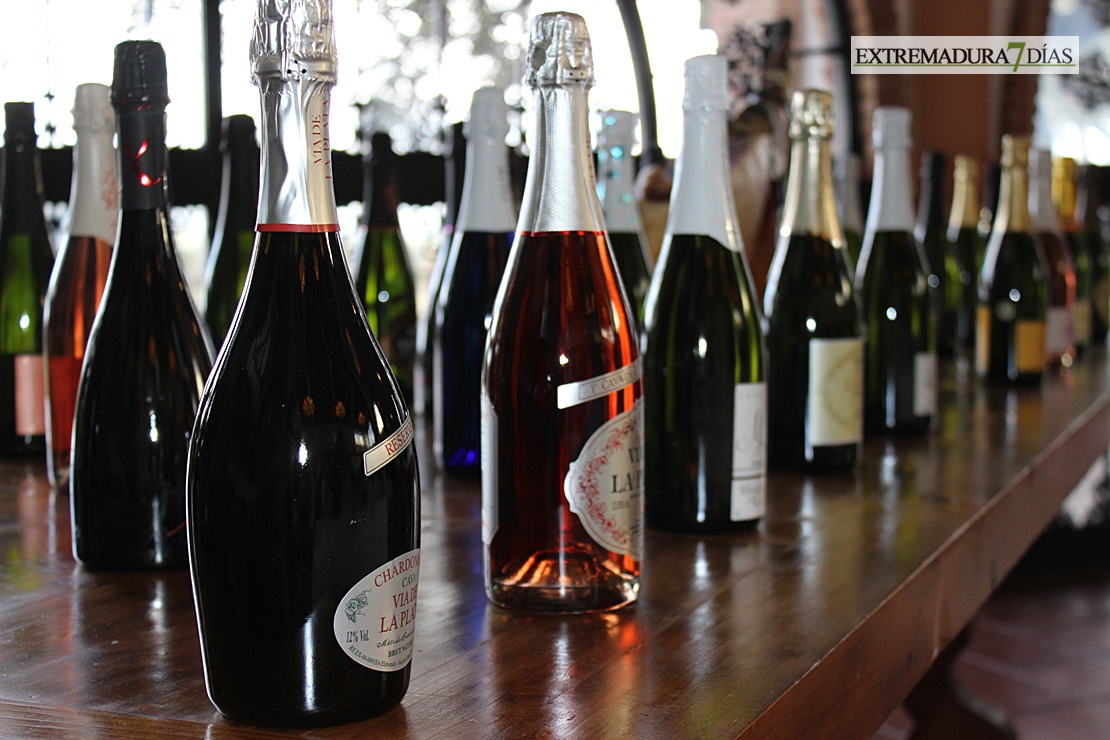 Primeros premios Espiga 'Cava Almendralejo'