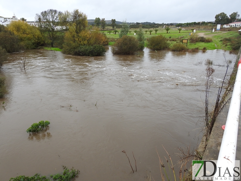 Así bajan los ríos y arroyos del oeste extremeño