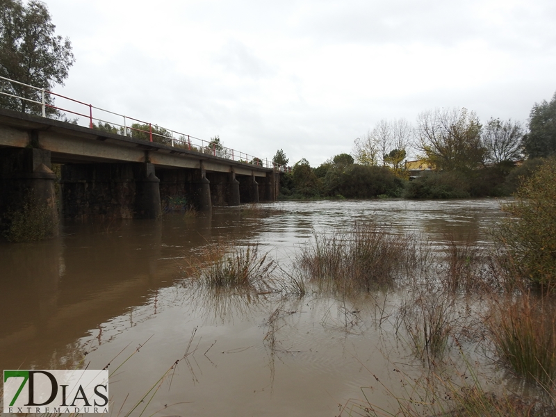 Así bajan los ríos y arroyos del oeste extremeño