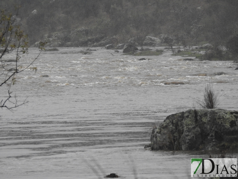 Así bajan los ríos y arroyos del oeste extremeño