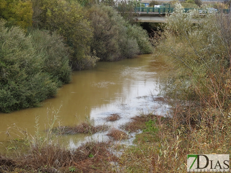 Así bajan los ríos y arroyos del oeste extremeño
