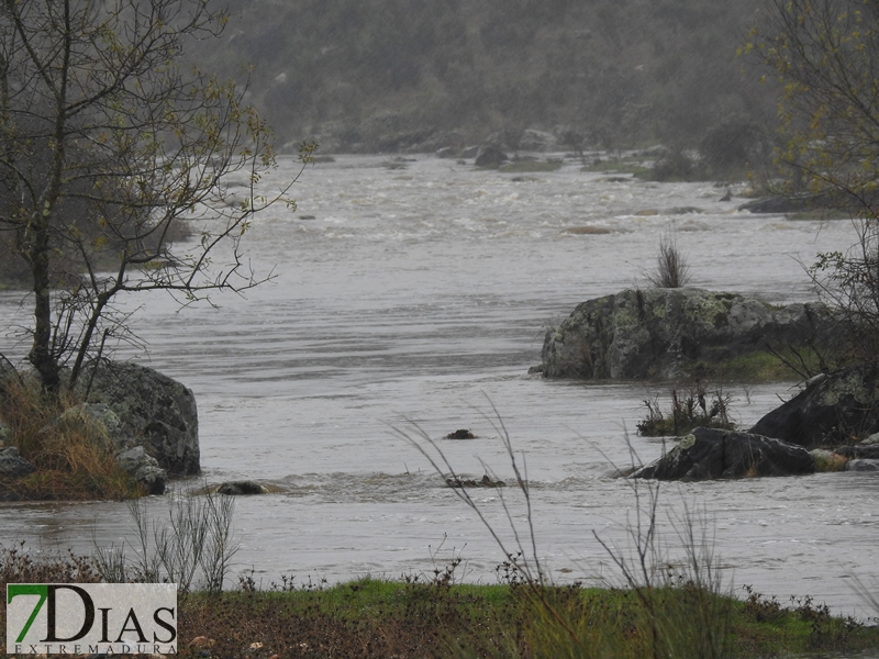 Así bajan los ríos y arroyos del oeste extremeño