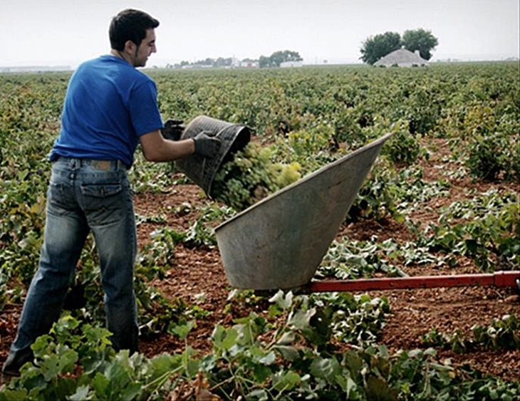 La renta agraria aumentó en 2015