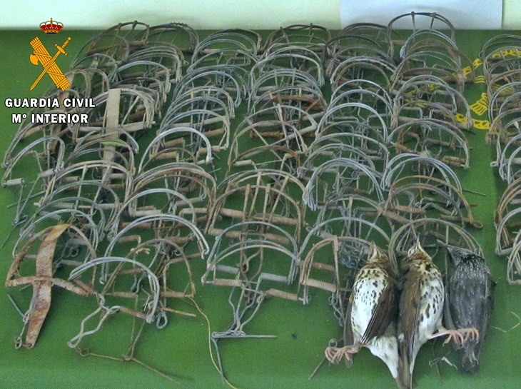 Sorprendido cazando aves silvestres con artes ilegales