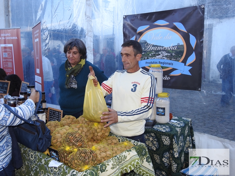 Ambiente en la XXXIII edición de la Feria de la Castaña de Marvao