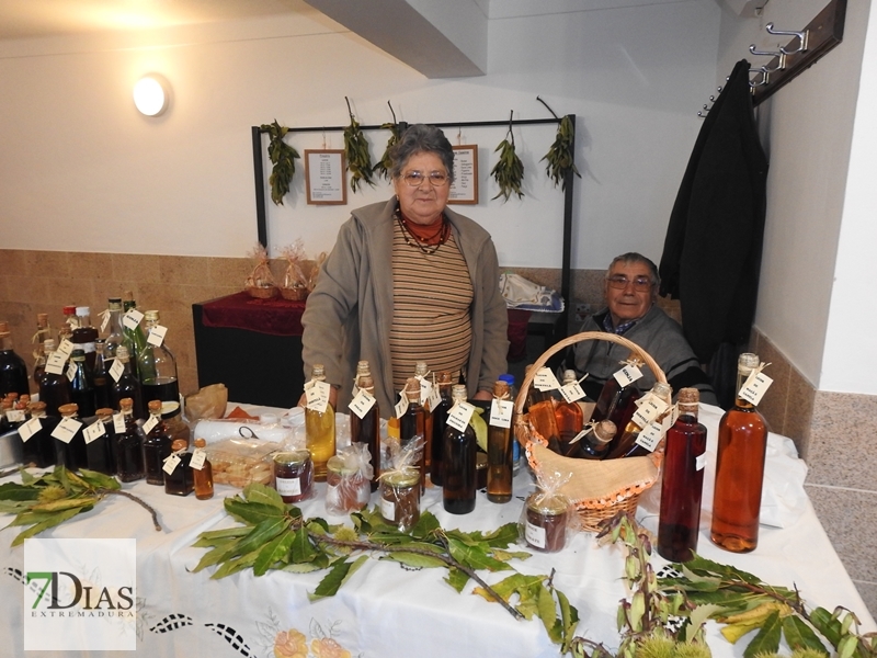 Ambiente en la XXXIII edición de la Feria de la Castaña de Marvao