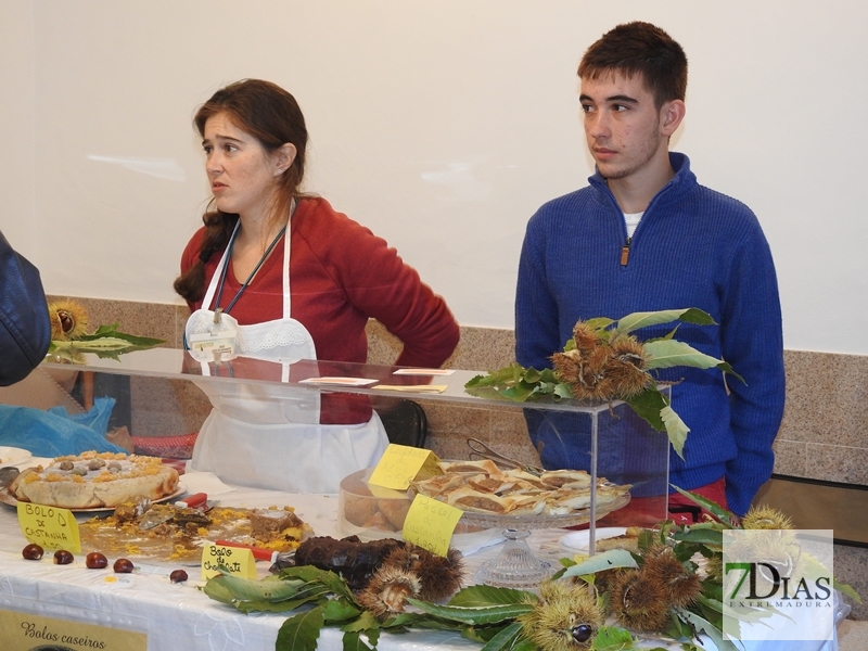 Ambiente en la XXXIII edición de la Feria de la Castaña de Marvao