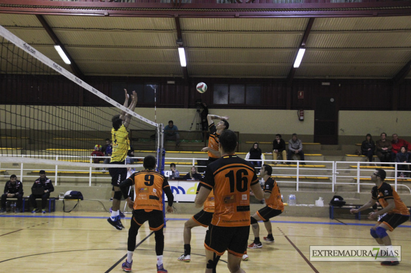 Imágenes del Pacense Voleibol - CyL Palencia