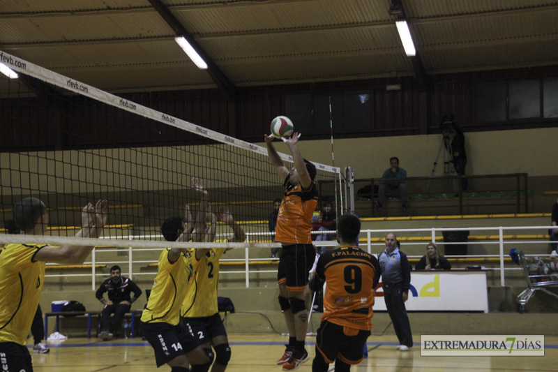 Imágenes del Pacense Voleibol - CyL Palencia