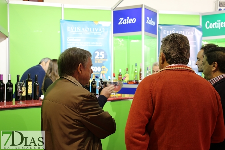 Imágenes del ambiente en la Iberovinac 2016 de Almendralejo