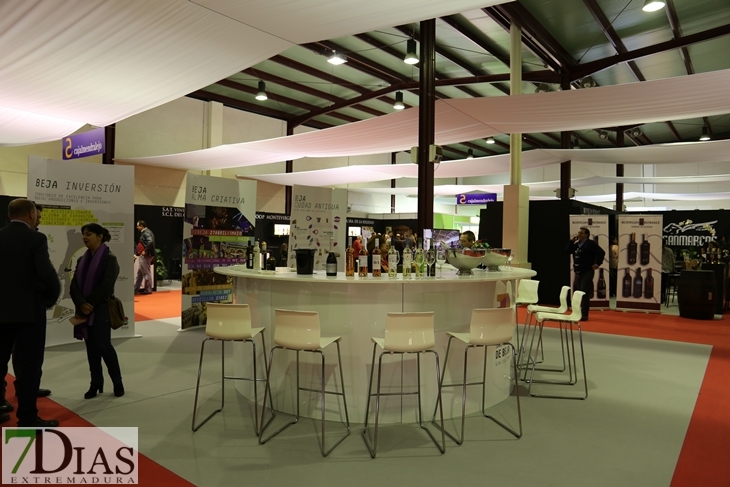 Imágenes del ambiente en la Iberovinac 2016 de Almendralejo