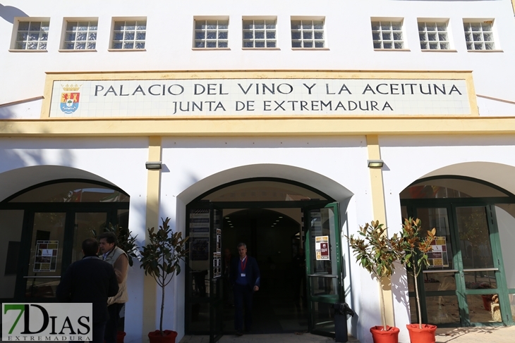 Imágenes del ambiente en la Iberovinac 2016 de Almendralejo