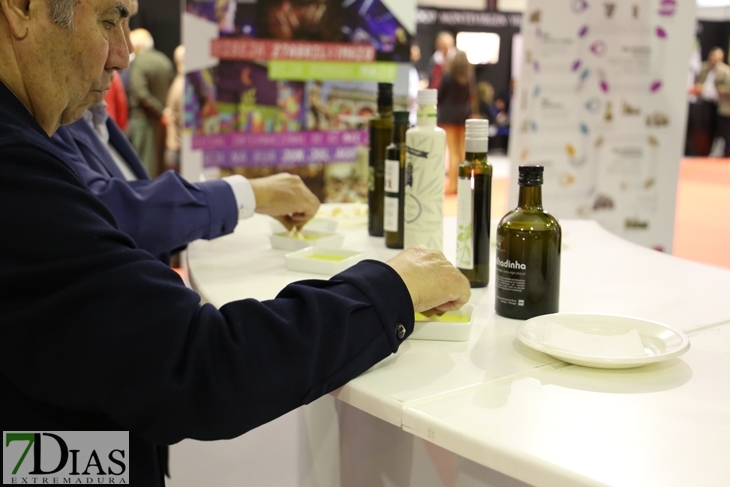 Imágenes del ambiente en la Iberovinac 2016 de Almendralejo