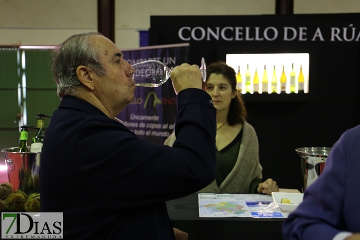 Imágenes del ambiente en la Iberovinac 2016 de Almendralejo