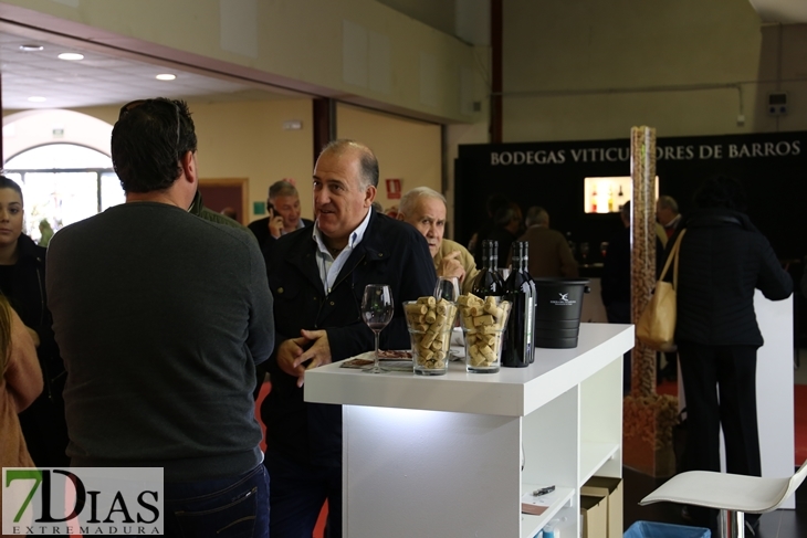 Imágenes del ambiente en la Iberovinac 2016 de Almendralejo