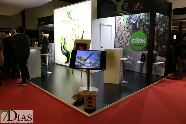 Imágenes del ambiente en la Iberovinac 2016 de Almendralejo