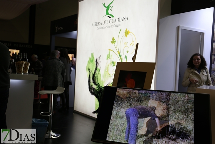 Imágenes del ambiente en la Iberovinac 2016 de Almendralejo