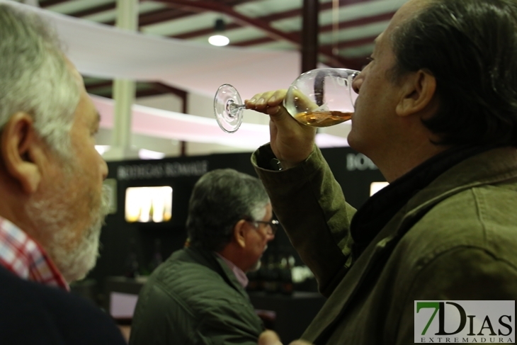 Imágenes del ambiente en la Iberovinac 2016 de Almendralejo