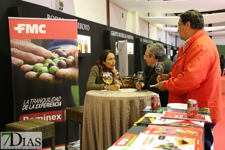 Imágenes del ambiente en la Iberovinac 2016 de Almendralejo