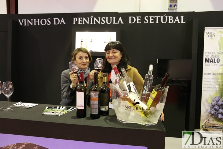 Imágenes del ambiente en la Iberovinac 2016 de Almendralejo