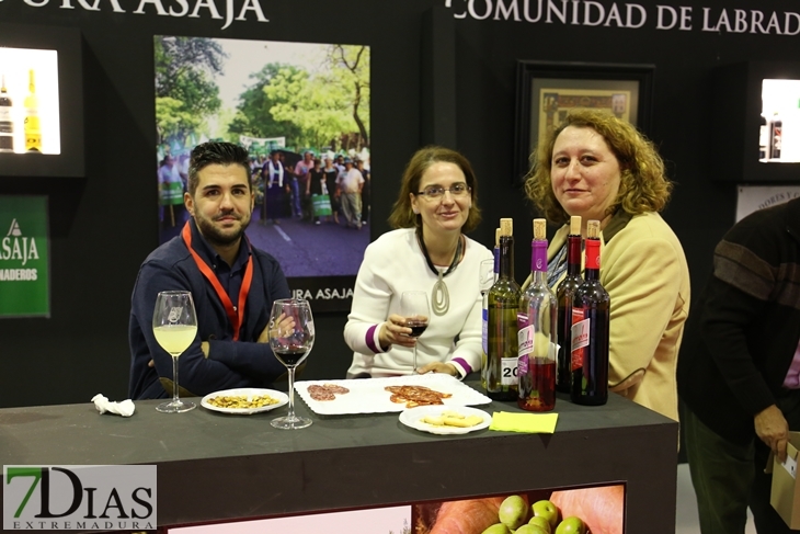 Imágenes del ambiente en la Iberovinac 2016 de Almendralejo