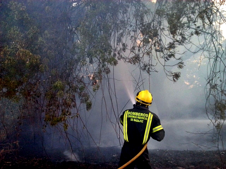 ¿Falta de transparencia en los tribunales de oposición de Bomberos?