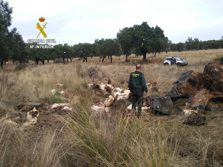 Detenido por robar 11.400 kilos de corcho en fincas de la Sierra de San Pedro