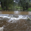 Así bajan los ríos y arroyos del oeste extremeño