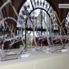 Los Premios Espiga eligen los mejores jamones y cavas extremeños