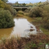Así bajan los ríos y arroyos del oeste extremeño