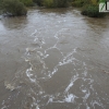 Así bajan los ríos y arroyos del oeste extremeño