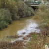 Así bajan los ríos y arroyos del oeste extremeño