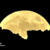 Así se ha visto en Extremadura la mayor ‘Superluna’ en 70 años