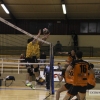 Imágenes del Pacense Voleibol - CyL Palencia