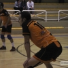 Imágenes del Pacense Voleibol - CyL Palencia