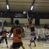 Imágenes del Pacense Voleibol - CyL Palencia