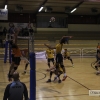 Imágenes del Pacense Voleibol - CyL Palencia