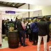 Imágenes del ambiente en la Iberovinac 2016 de Almendralejo