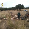 Detenido por robar 11.400 kilos de corcho en fincas de la Sierra de San Pedro