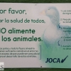 ¿Patos si o patos no?