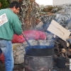 Ambiente en la XXXIII edición de la Feria de la Castaña de Marvao