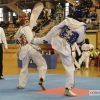 Imágenes del I Open Ibérico de Taekwondo &#39;Ciudad de Badajoz&#39;