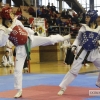 Imágenes del I Open Ibérico de Taekwondo &#39;Ciudad de Badajoz&#39;