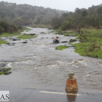 Así bajan los ríos y arroyos del oeste extremeño