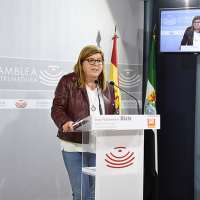 C's pide una Ley que regule la gestación subrogada