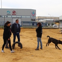Mérida habilita dos nuevos espacios para perros