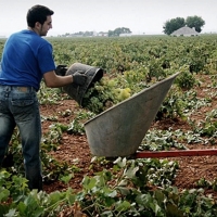 La renta agraria aumentó en 2015