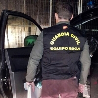 Tres vecinos de Sevilla detenidos por robar en varias fincas de la región