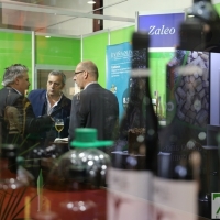 Imágenes del ambiente en la Iberovinac 2016 de Almendralejo