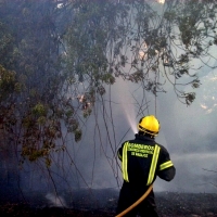 ¿Falta de transparencia en los tribunales de oposición de Bomberos?